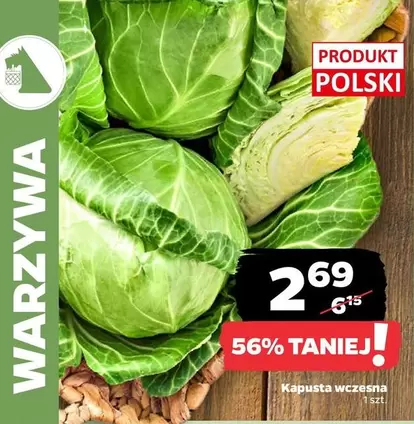 Kapusta wczesna