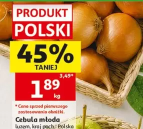 Cebula młoda