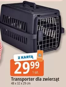 Transporter -  dla zwierz	a