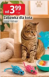 Zabawka dla kota
