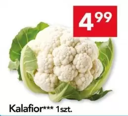 Kalafior