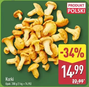 Kurki