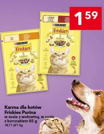 Karma dla kotów