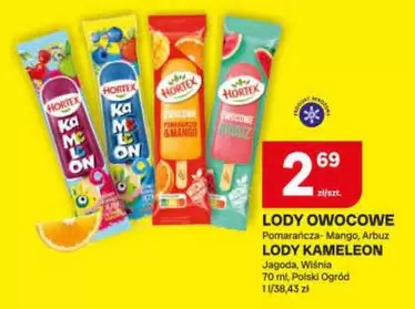LODY OWOCOWE Lody Kameleon