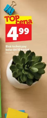 Kolor - Blok techniczny kolor A4 10 kartek