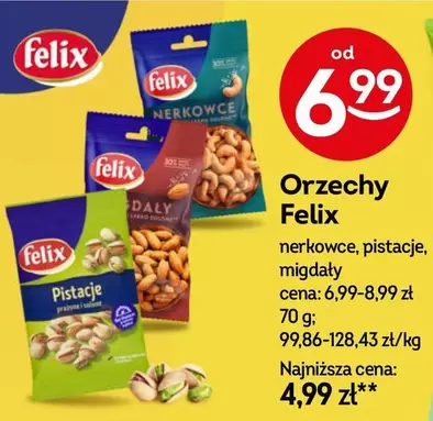 Orzechy