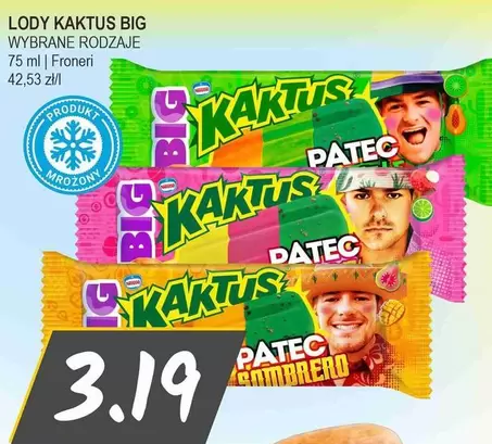 LODY KAKTUS BIG
