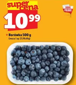 Borówka