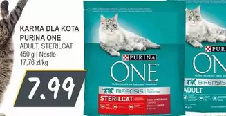 One - KARMA DLA KOTA ADULT, STERILCAT