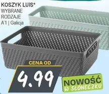 KOSZYK LUIS