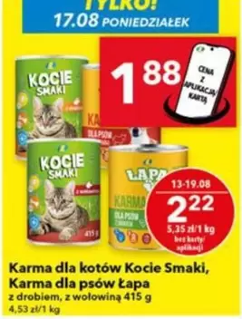 Karma dla kotów