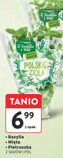 Polskie zioła