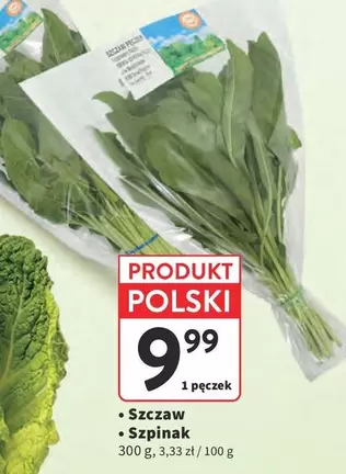 Szczaw, Szpinak