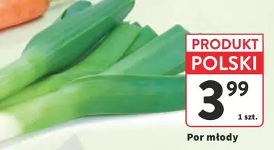 Por młody (leek)