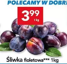 Śliwka fioletowa