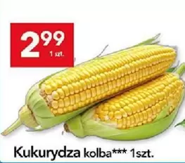 Kukurydza kolba