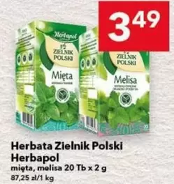 Herbata Zielnik Polski