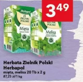 Herbata Zielnik Polski