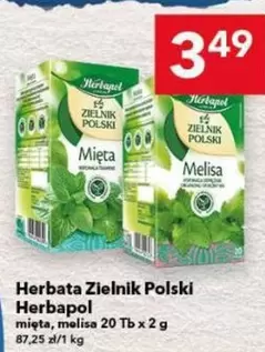 Herbata Zielnik Polski