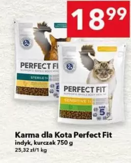 Perfect - Karma dla Kota