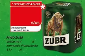 PIWO ŻUBR