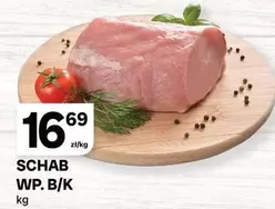 SCHAB WP. B/K