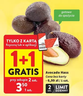 Avocado Hass