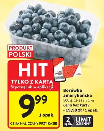 Borówka amerykańska