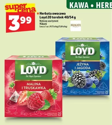 Herbata owocowa Loyd