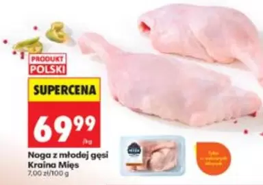 Noga z młodej gęsi