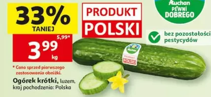 Ogórek krótki