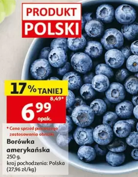 Borówka amerykańska