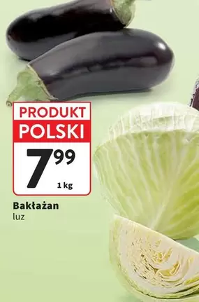 Bakłażan