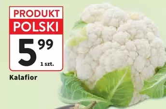 Kalafior