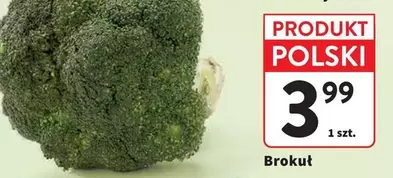 Brokuł