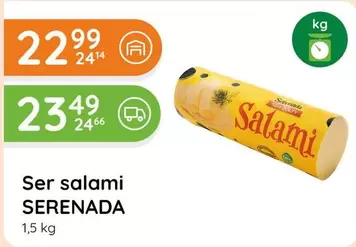 Ser salami