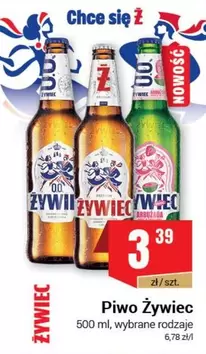 Piwo Żywiec