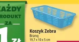 Koszyk Zebra