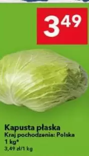 Kapusta płaska