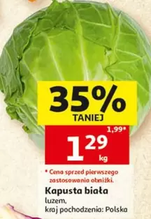 Kapusta biała