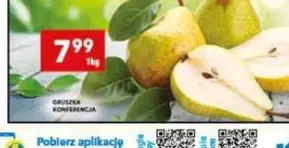 Gruszka Konferencja