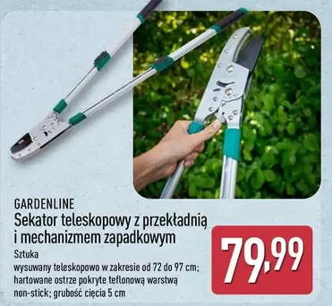 Sekator teleskopowy z przekładnią i mechanizmem zapadkowym