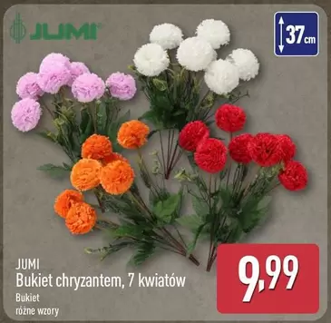 Bukiet chryzantem, 7 kwiatów