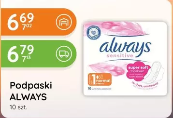 No - Podpaski