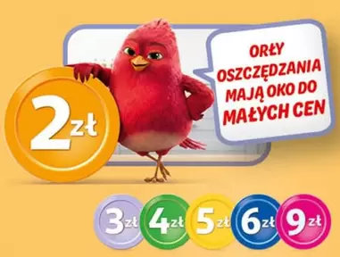 Oko - OFERTA SPECJALNA
