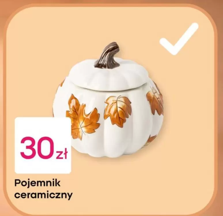 Pojemnik ceramiczny