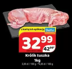 Królik tuszka