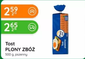 Tost PLONY ZBÓŻ