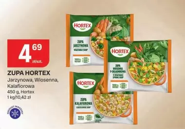 ZUPA HORTEX