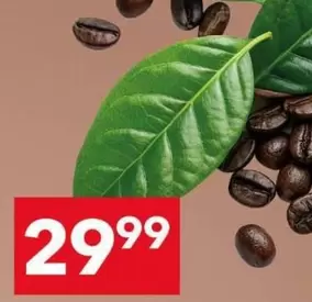 Coffee Beans